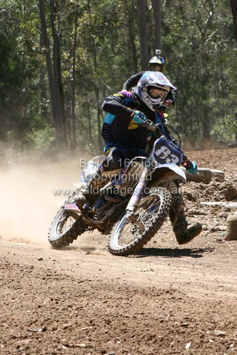 445x677 pixels (87K)